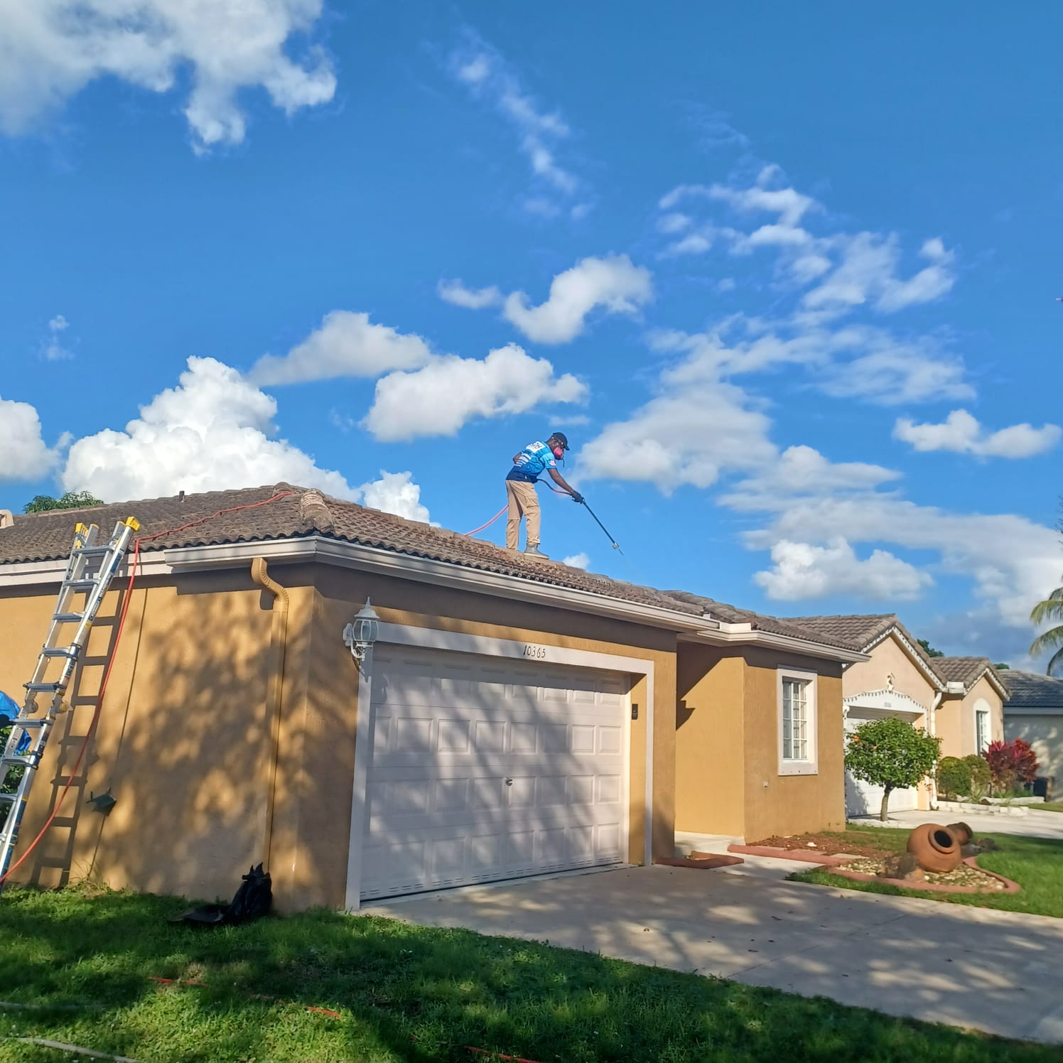 Roof Cleaning